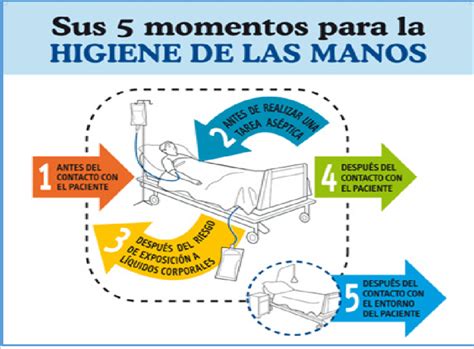 ruptura polilla champán los 5 momentos para la higiene de las manos