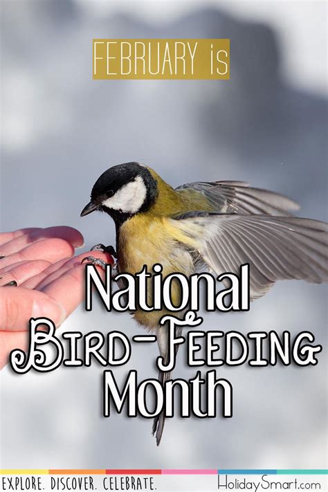 Bird-Feeding Month | Holiday Smart