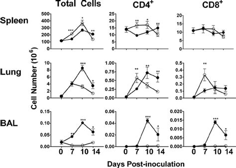 Inoculation Route Influences T Cell Numbers In Tissue C57bl6j Mice