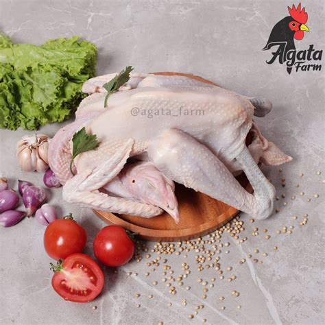 Jual Ayam Kampung Aka 800 900gr Utuh Shopee Indonesia