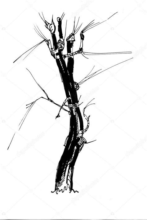 Marker Drawing Tree — Stock Photo © Otrada 2231512