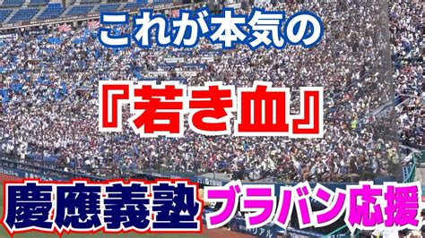 【高校野球応援】9回表逆転3ラン！ エグすぎる大声量！これが慶応本気の「若き血」 【神奈川大会決勝 慶應義塾 Vs 横浜高校 】20237