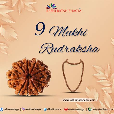 Buy Certified Mukhi Rudraksha Online In India Mukhi Rudraksha