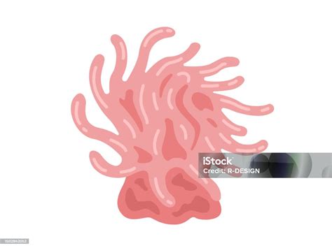 Illustration Of A Pink Sea Anemone Stock Illustration Download Image