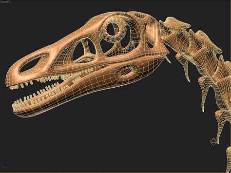 Nothronychus Therizinosaurus Skeleton Bones 3d Model Turbosquid 1228837