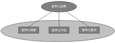 举例6种产品差异化异化产品有哪些例子产品异化分析大山谷图库