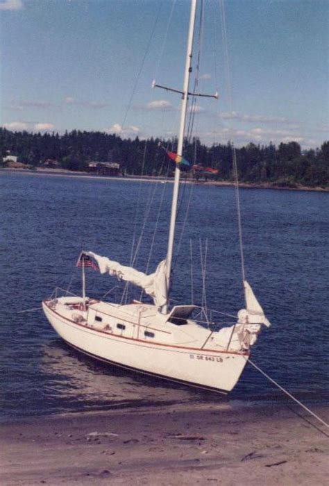 Dolphin24.org - A Website For Dolphin Owners and Others Interested in ...