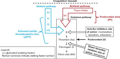 Figure 1 from Direct Oral Anticoagulants for Venous Thromboembolism: A ...