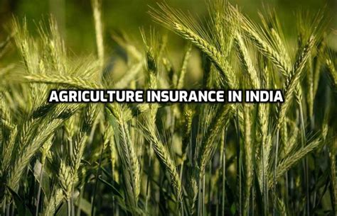 Agri Insurance Schemes In India A Full Guide Agri Farming