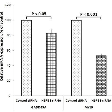 Effect Of HSPB8 MRNA Silencing On The Expression Of Growth Arrest And