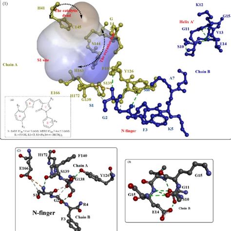 The Crystal Structures Of Nsp Nsp Nsp Complex And And The