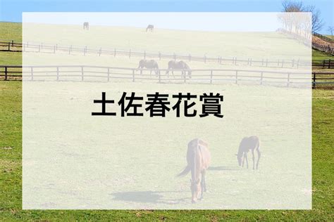 土佐春花賞2023 過去データ 傾向と分析 ゆめもちのうま