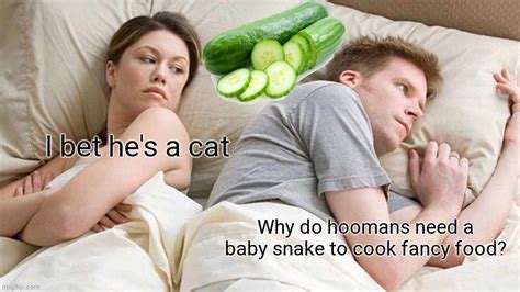 Get It Cuz Cats R Afraid Of Cucumbers Imgflip