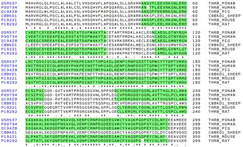 Sbi Structural Bioinformatics