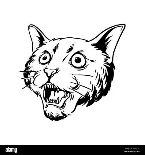 an angry cat illustration. a hand drawn illustration of a wild animal head. line art drawing for ...