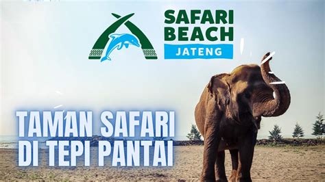 Taman Safari Beach Jateng Safari Di Tepi Pantai Tamansafaribatang