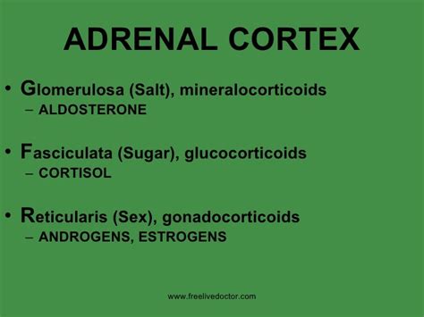 Diseases Of Endocrinal Glands