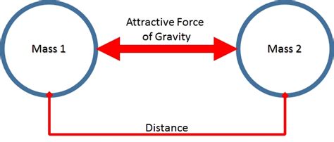 Mass Weight And Gravity Vista Heights 8th Grade Science