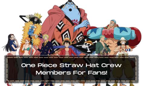 One Piece Straw Hat Crew Members For Fans! - Anime Everything