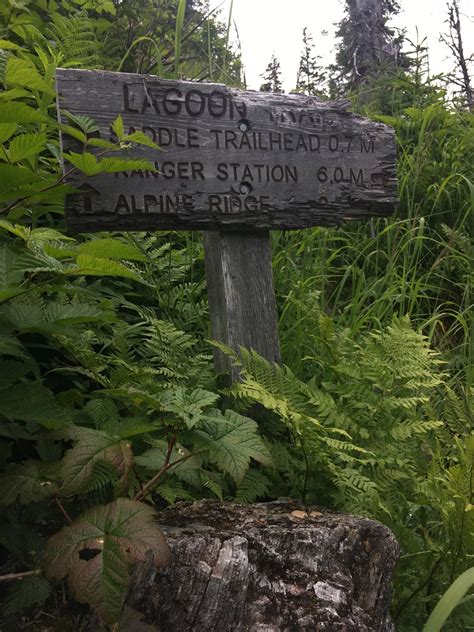 Life in Alaska — A View From Homer: Alpine Ridge Trail