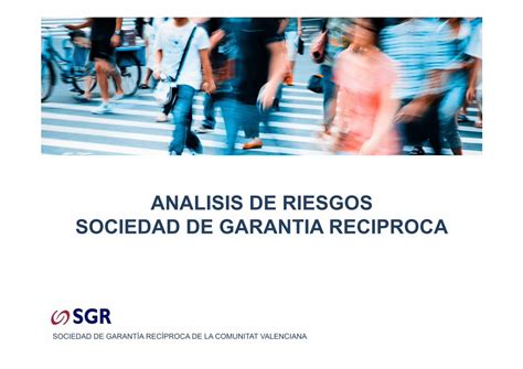 Pdf Analisis De Riesgos Sociedad De Garantia Reciproca La