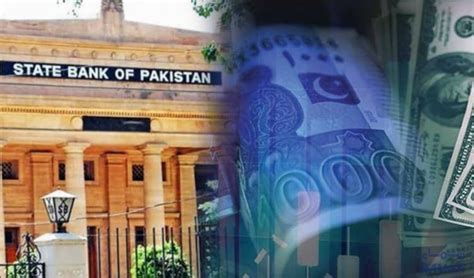 Pakistan Forex Reserves Rise Despite Dip In Official Reserves Imf