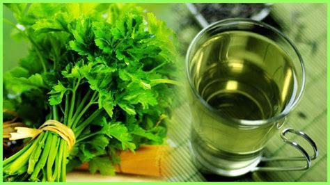 Drinking Parsley Tea Can Help You Lose Weight And Reduce Water Retention Youtube