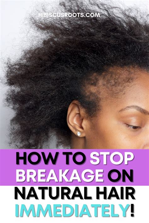 How To Stop Breakage On 4c Natural Hair Now Hibiscus Roots