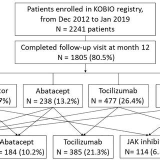 Overview Of The Study JAK Janus Kinase TNF Tumor Necrosis Factor