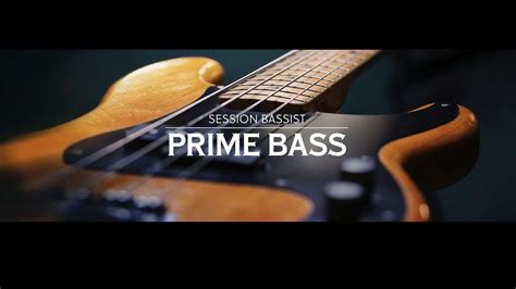 Native Instruments Session Bassist Prime Bass The Synth And Software