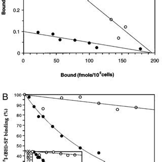 Effect Of Nem On K D B Max And The Dissociation Rate Transfected