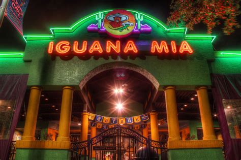 Iguana Mia: Fort Myers, SW Florida