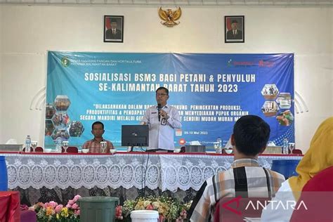 Dinas TPH Kalbar Jaga Produksi Padi Antisipasi Krisis Pangan ANTARA