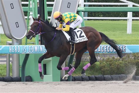 西村淳也がjra300勝達成、現役55人目「次はg1を勝てるように頑張りたい」／中山1r 競馬写真ニュース 日刊スポーツ