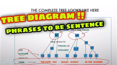 Tree Diagram Phrases To Be Sentence Youtube