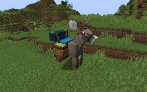 Mule Let S Do Wine Vinery Mc Minecraft Mod