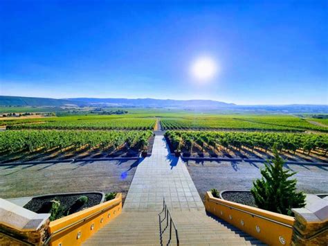 9 Great Wineries To Visit In Tri Cities Washington Savored Journeys