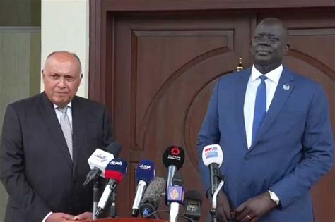 Egypt And South Sudan Bear A Special Responsibility Towards Sudan