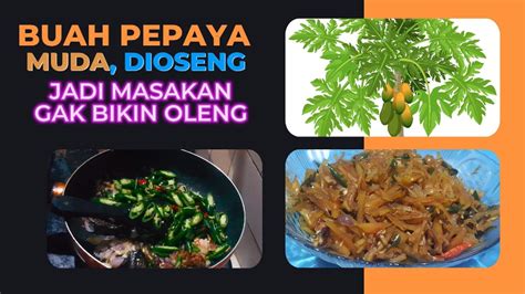 RESEP TUMIS PEPAYA MUDA Oseng Pepaya Muda Enak Bikin Nagih Resep