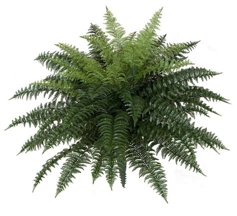 Earthflora Outdoor Artificial Palms Trees Topiaryplants 34 Width 26 Height Polyblend