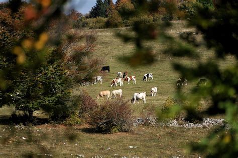 Le Larmont Doubs Michel ARNOUX Flickr