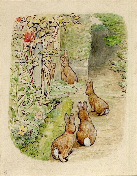 Tale Of Peter Rabbit By Beatrix Potter