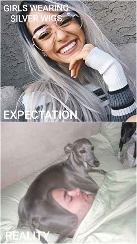 wigs memes memedroid