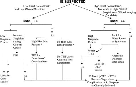 Diagnosis And Management Of Infective Endocarditis And Its