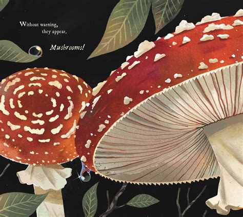 Mushroom Rain Hardcover Book