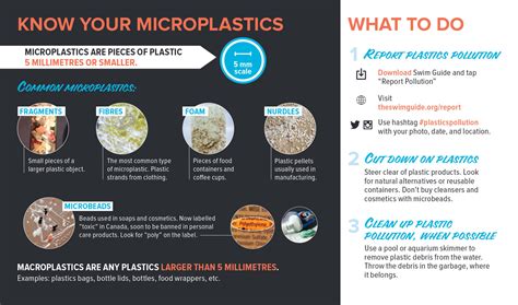 Zooming in on the Five Types of Microplastics — Lake Ontario Waterkeeper