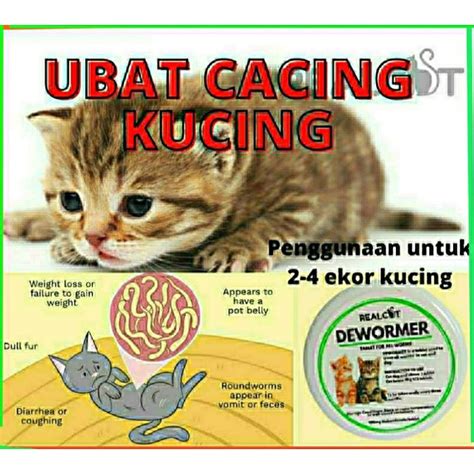 Ubat Cacing Deworm Cat Kucing Dewasa Untuk 2 4 Ekor Kucing 2 Tablet