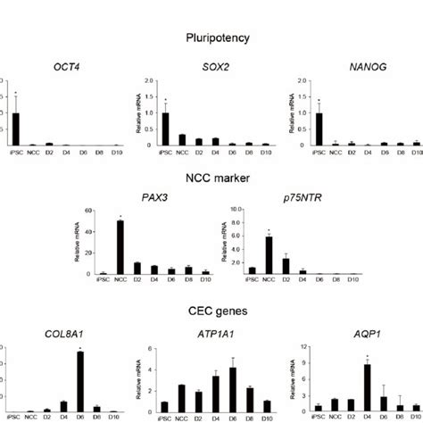 Quantitative Real Time Rt Pcr Qrt Pcr Qrt Pcr Analysis Of The