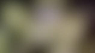 Public Nude And Flashing Fun Video Porno Gratis Youporn