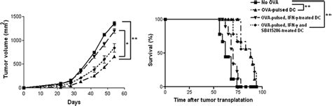 Ifn Induced Ido Expression Via Gsk 3 Is Effective For Ova Pulsed Dc